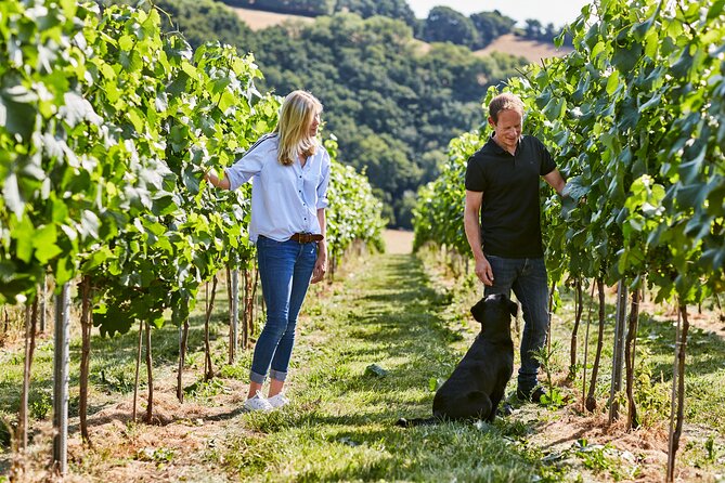 1.5-Hour Swanaford Vineyard Tour And Tasting Experience - Key points at a glance