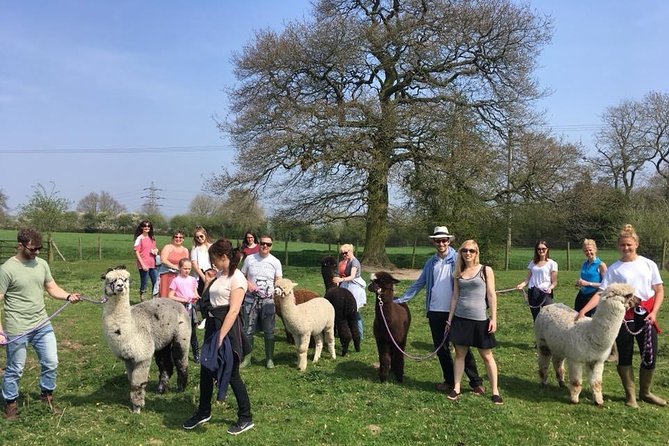 2-Hour Alpaca Farm Experience in Kenilworth - Is $35.78 a fair price?