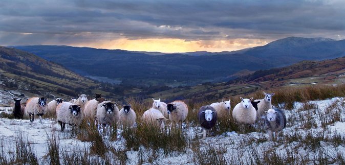 4 hour Private Lake District tour (tour A) - Ullswater: your main lakeside pause