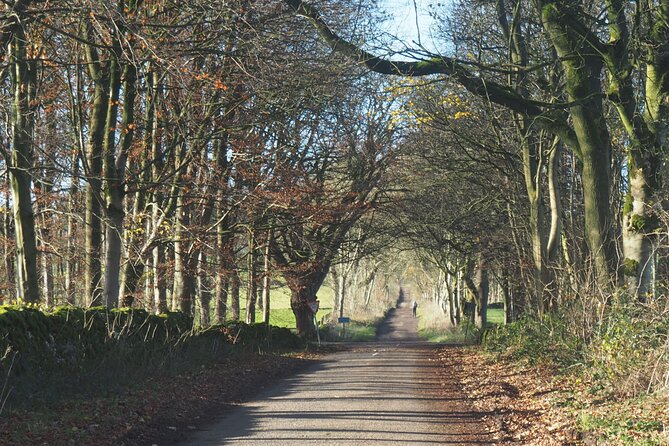 6hr Small Group Peak District eBike Tour - What the guides and sat nav add