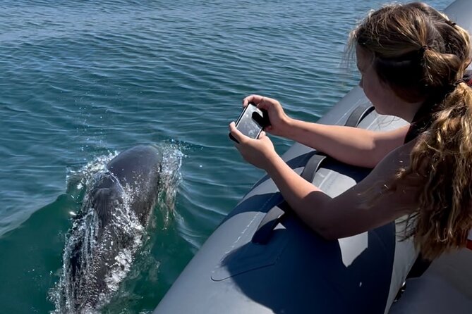 90 Minute Coastal Explorer in Torquay - Why this Torquay boat trip is more than a quick spin