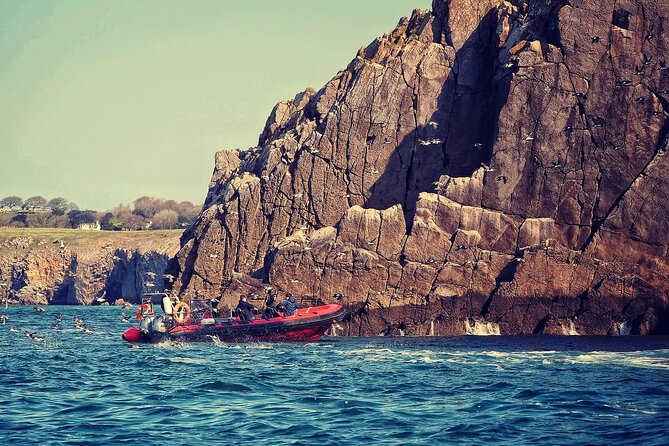 90 Minute Coastal Explorer in Torquay - Starting at Torquay Marina at 2:30 pm