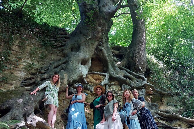 A Tour of Glastonbury, Guided by the Trees. - A tree walk through Glastonbury’s other story