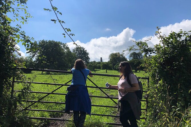 A Tour of Glastonbury, Guided by the Trees. - The springs near Well House Lane