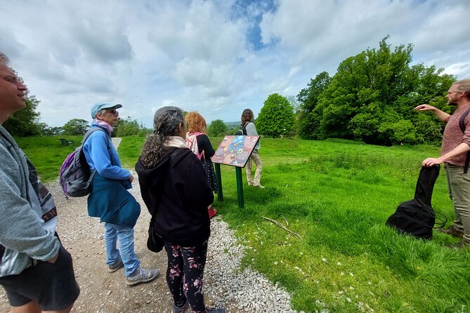 A Tour of Glastonbury, Guided by the Trees. - Weather, timing, and cancellation