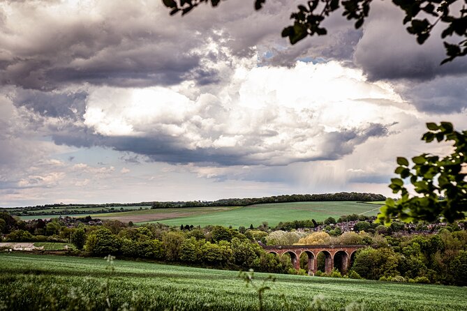 Admission Pass to Eagle Heights in Kent - The raptor flying displays are the main event
