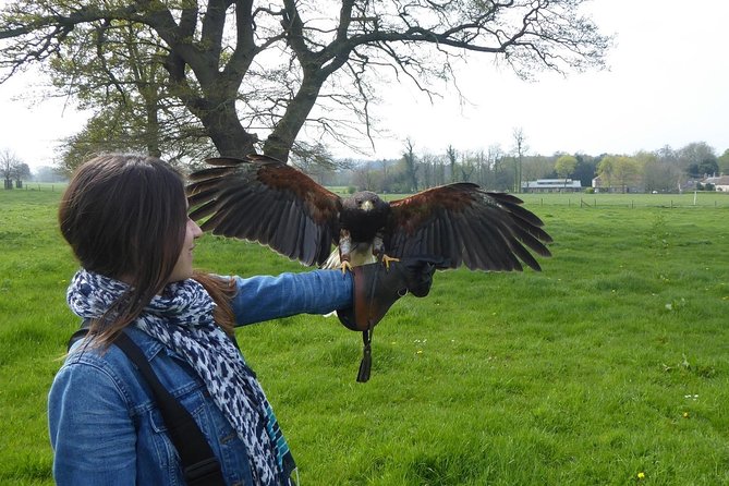 Bath City Tour & Fly a Hawk Experience - Day Tour from Bath - Hot springs, Thermae Bath Spa, and Jane Austen