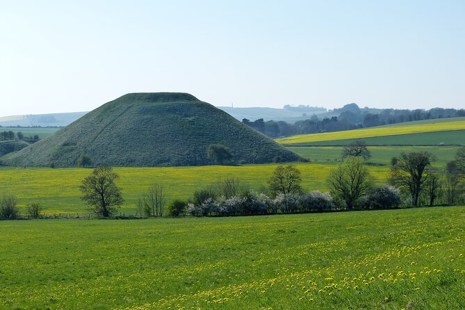 Bespoke private tours of Stonehenge and Avebury by car with local guide - Old Sarum and the two Salisbury museums