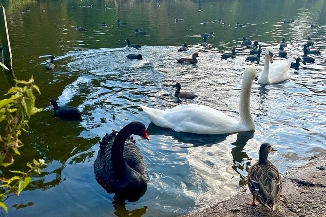 Best of London Tour: Tower of London and Churchill War Rooms - A calmer half hour in St. James’s Park