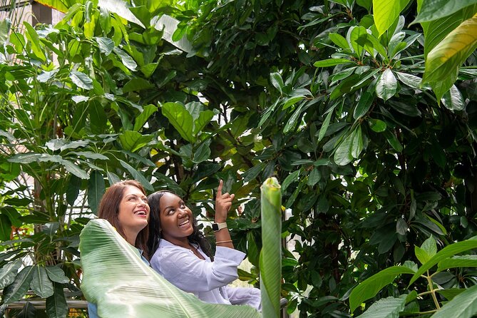 Bombay Sapphire Gin Distillery Tour and Cocktail - The Botanical Room helps you find your own flavour preferences