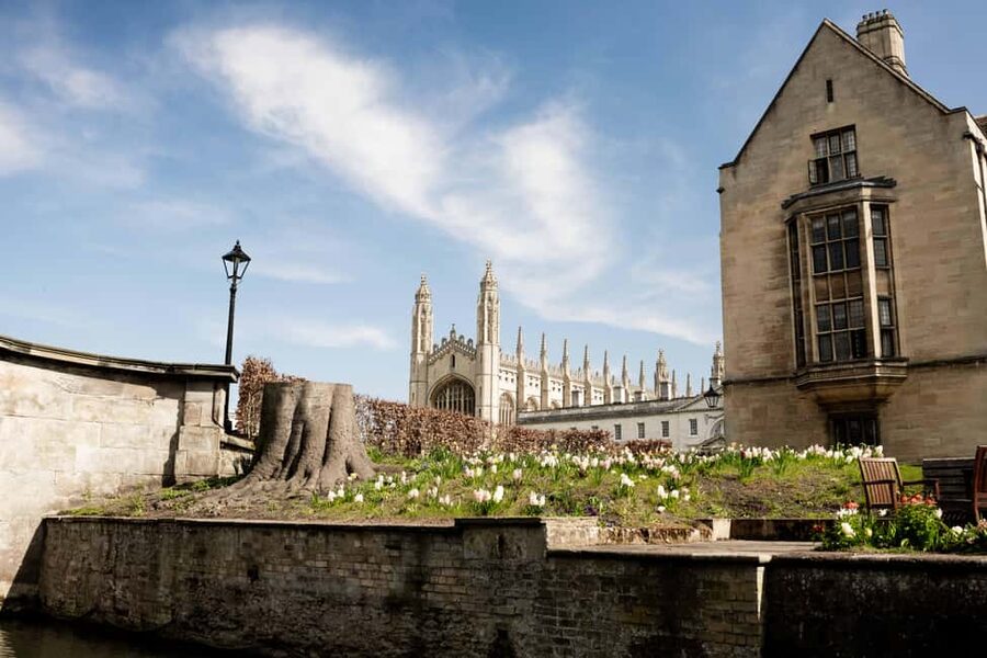 Cambridge: Punting Tour on the River Cam - Why the River Cam is the right way to see Cambridge