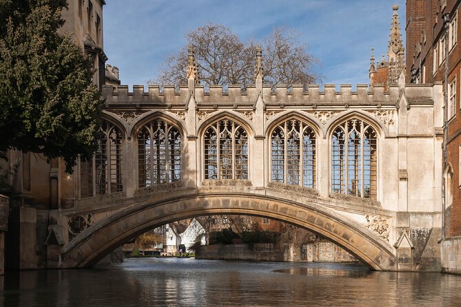 Cambridge - Shared Punting Tour - Key points to know before you book