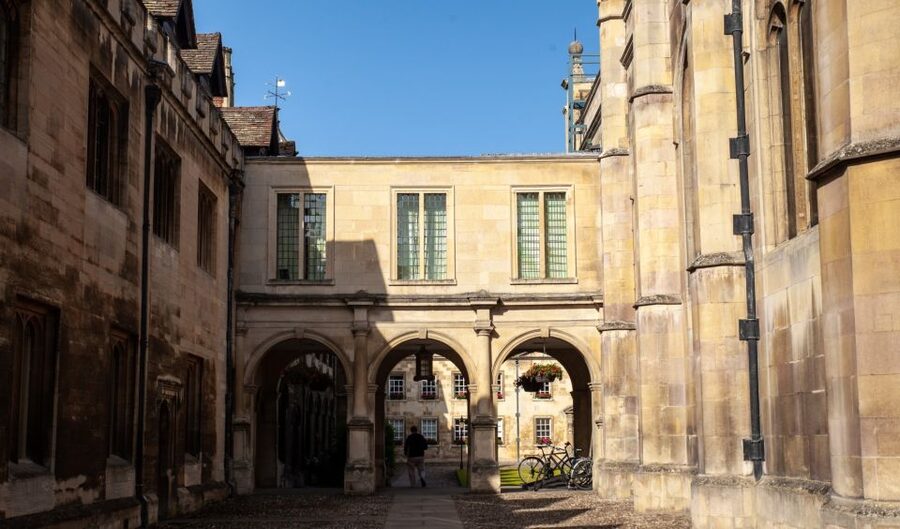 Cambridge: University Alumni Tour with Kings College Option - Senate House, the old church, and scientific Cambridge