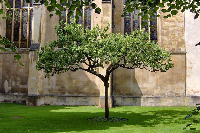 Cambridge University Walking Tour - The Corpus Clock and the oldest building in Cambridge