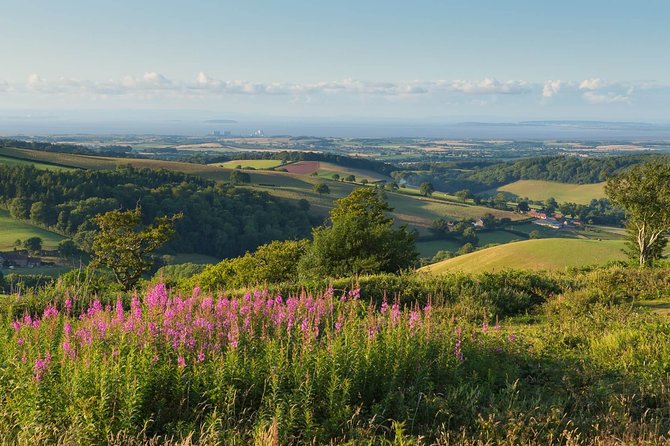 Canterbury & the White Cliffs of Dover Tour (Small-Group) - Should you book the Canterbury and Dover tour?