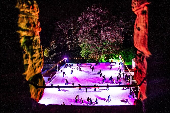 Christmas at Warwick Castle - Light Trail & Ice Skating Packages - Is $32.90 good value?