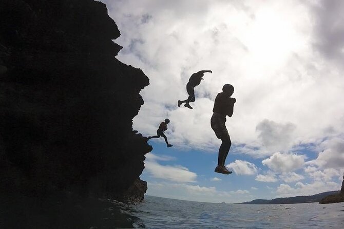Coasteering Geopark Adventure In Torquay - Seals, wildlife, and the local stories