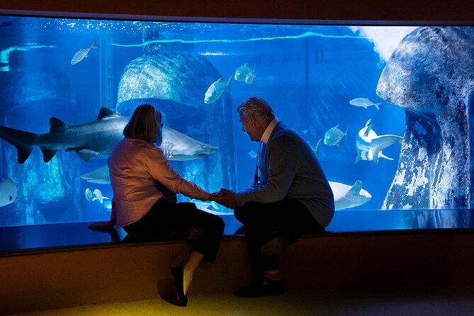 Combo Ticket: Madame Tussauds & SEA LIFE London Aquarium - Two London attractions, one busy half-day