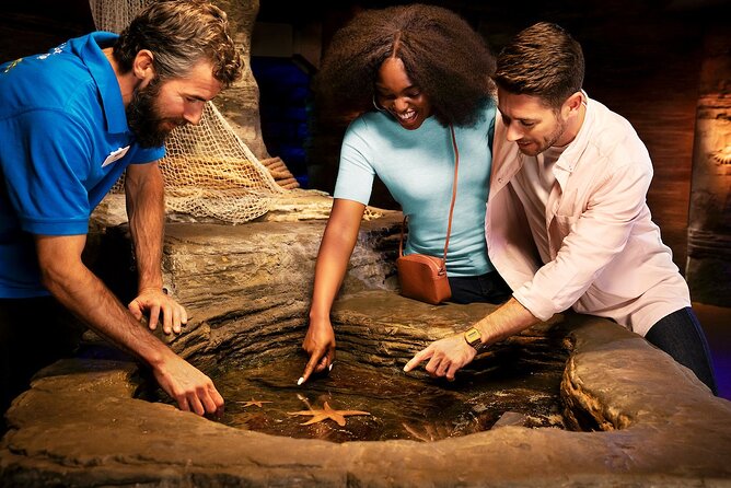 Combo Ticket: Madame Tussauds & SEA LIFE London Aquarium - From celebrity photos to Polar Adventure