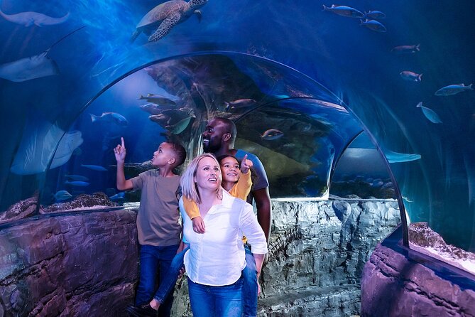 Combo Ticket: Madame Tussauds & SEA LIFE London Aquarium - Scheduling the two admissions carefully