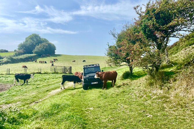 CRUISE SHIP SPECIAL- JEEP SAFARI - PRIVATE GUIDED TOUR (6 Hours) - Tyneham, a village left behind