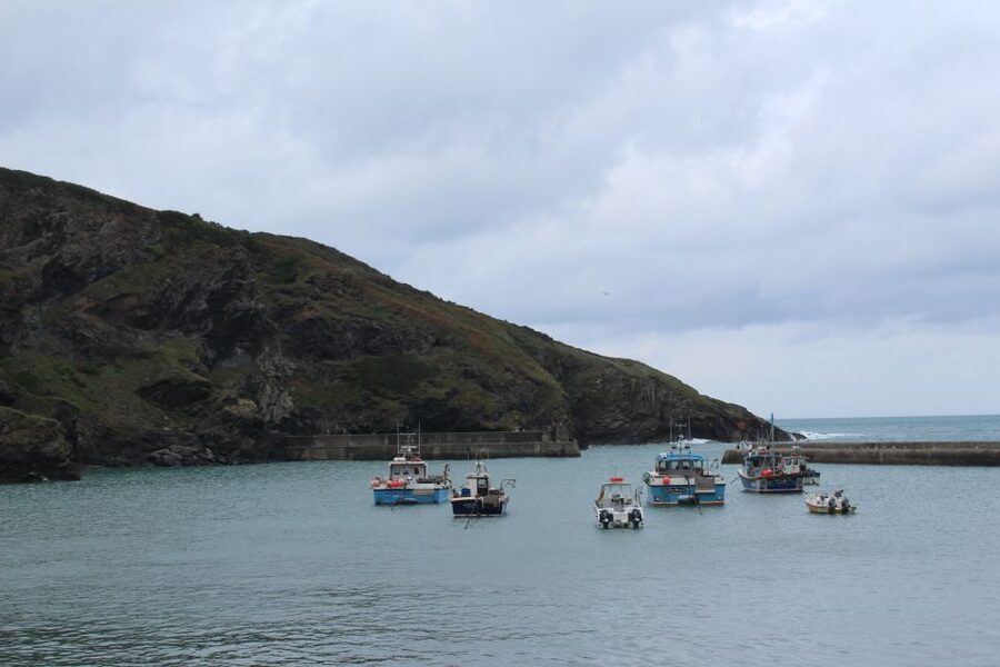 Doc Martin Tour - Key points to know before you go