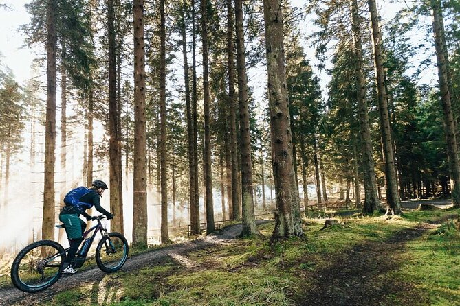 E-bike excursion exploring the Purbecks - Key points to know before you book