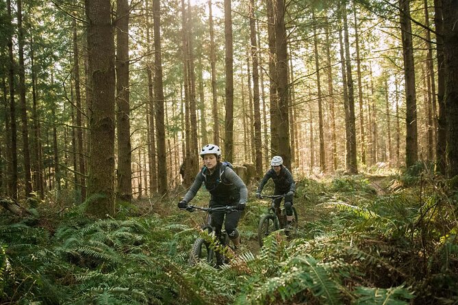 E-bike excursion exploring the Purbecks - Why an e-bike makes sense around Poole