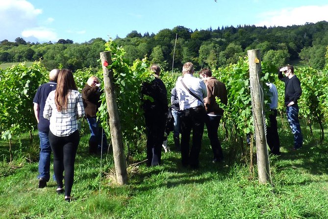 English Wine and Cheese Tour from London - What the $212.54 price really covers