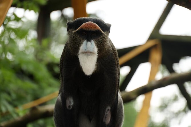 Entry ticket to Hoo Zoo and Dinosaur World in Telford - Fifteen talks and feeding sessions worth planning around