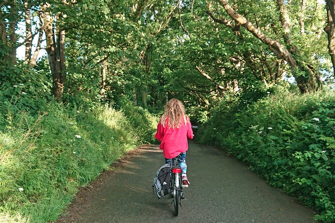 Explore North Cornwall on Electric Bikes - What the price gives you