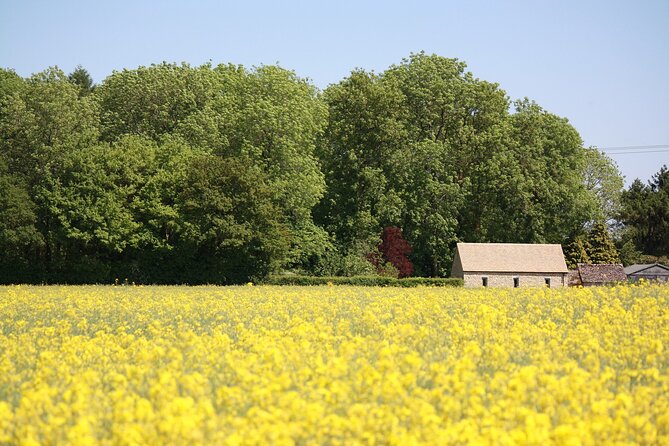 Explore the Cotswolds (Private Day Tour from London) - What this private Cotswolds day actually delivers