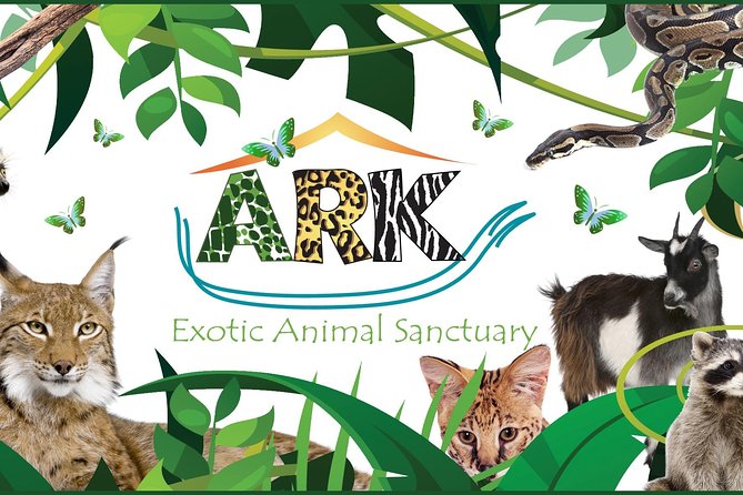 Fox Encounter for 2 people and park entry - Making the most of your questions