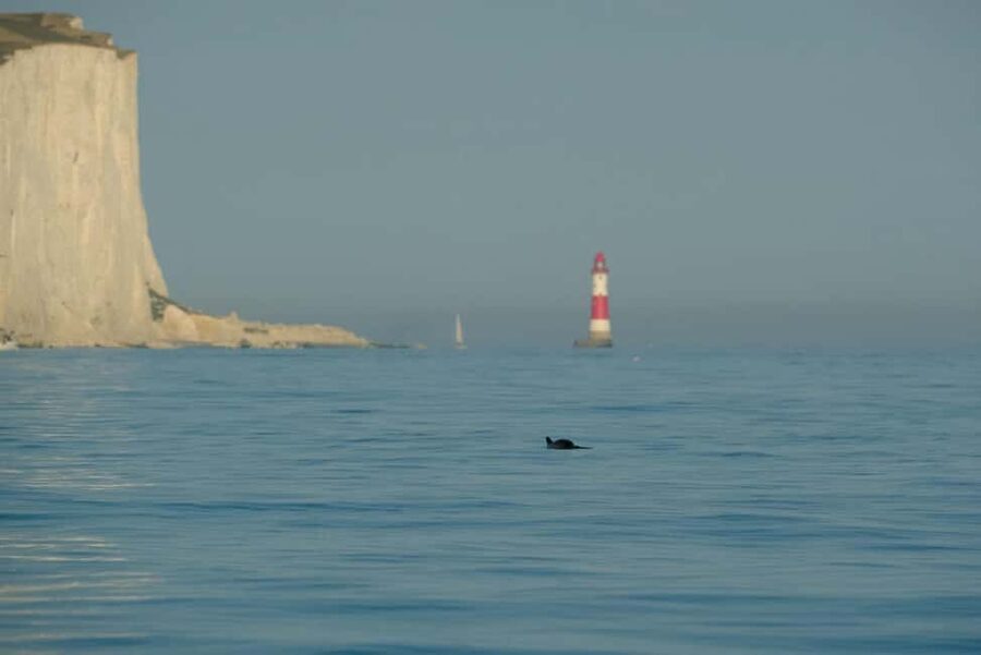 From Brighton: Seven Sisters Boat Tour - Is $53 good value for 90 minutes?