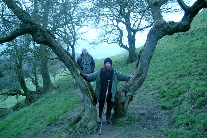 Full-Day Tour of Glastonbury - White Spring and its candle-lit water temple