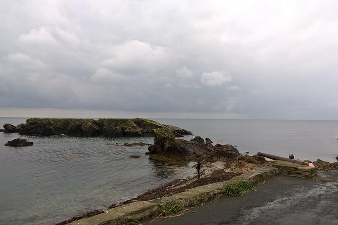 Full day tour of the Isle of Man with a qualified Isle of Man Tour Guide - Looking across to the Calf of Man