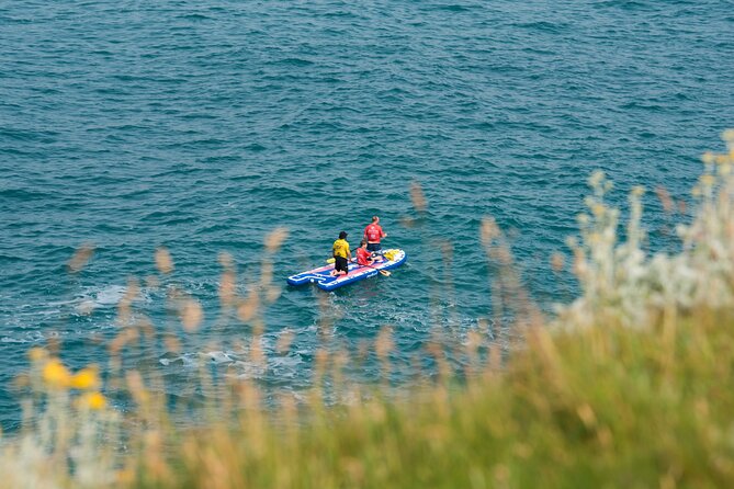 Giant Stand Up Paddle Boarding Experience in Newquay - Seal sightings and a chance to snorkel