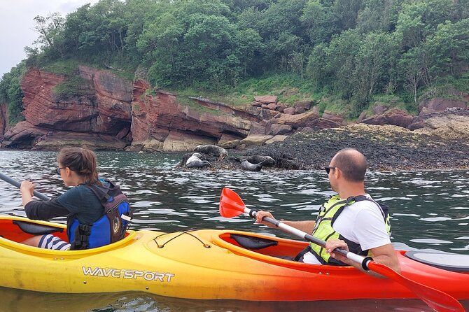 Guided Wildlife and Sea Cave Kayak Safari in English Riviera - The secluded beach pause