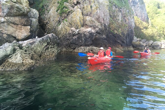 Guided Wildlife and Sea Cave Kayak Safari in English Riviera - What the $76.39 price delivers