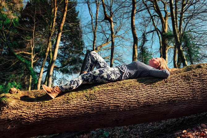 Half-day Forest Bathing and Yoga in Brighton's Woodlands - Key points at a glance
