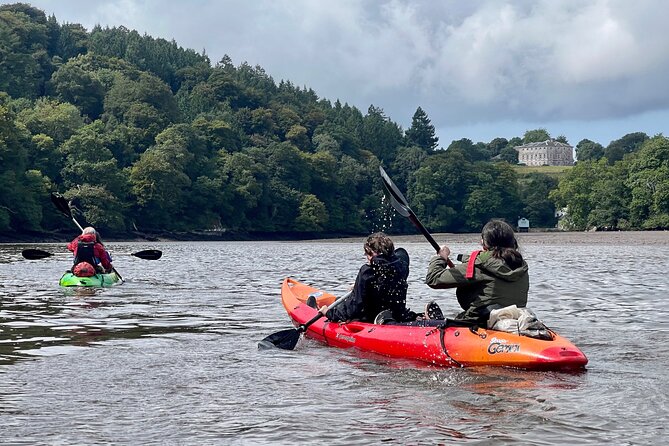 Half Day Guided Canoe Trip in Totnes - What makes the River Dart setting enjoyable
