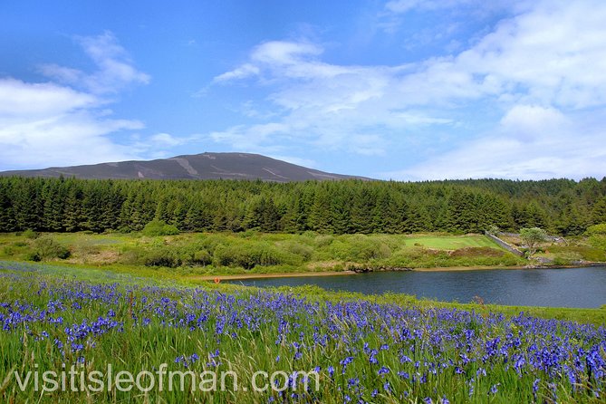 Half day private tours of the Isle of Man with a qualified Driver Guide - Who gets the best value from this outing