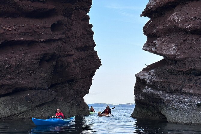 Half Day Sea kayak Guided Tour - Who will enjoy this Teignmouth outing most