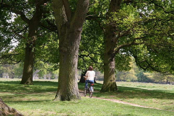 Hampton Court Palace Grounds Bike Tour - The pub stop and the value of a slower pace