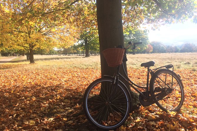 Hampton Court Palace Grounds Bike Tour - Price, timing, and overall value