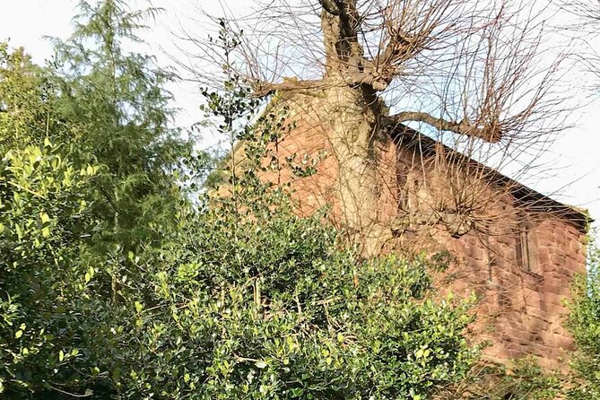 Haunted Chester and its Ghosts: A Self-Guided Walking Tour - St John’s Church connects ruins, worship, and ghost lore