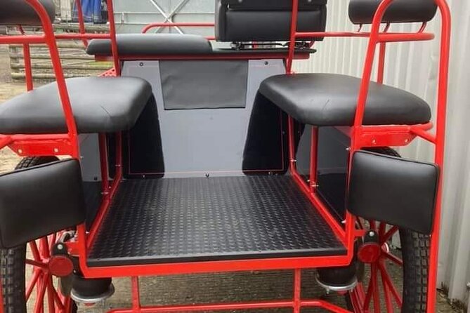 Horse drawn carriage ride york - What the one-hour itinerary feels like