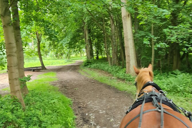 Horse drawn carriage ride york - The horses and the human side of the ride