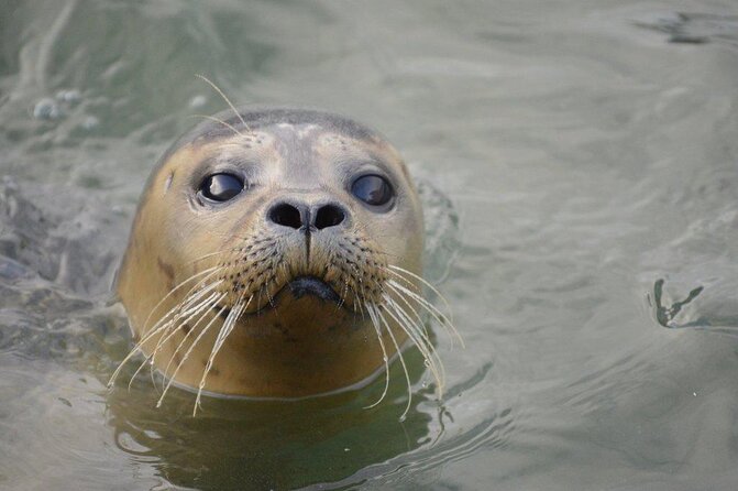 Hunstanton SEA LIFE Sanctuary General Admission Ticket - Meet the Rainforest Rangers and their animal team