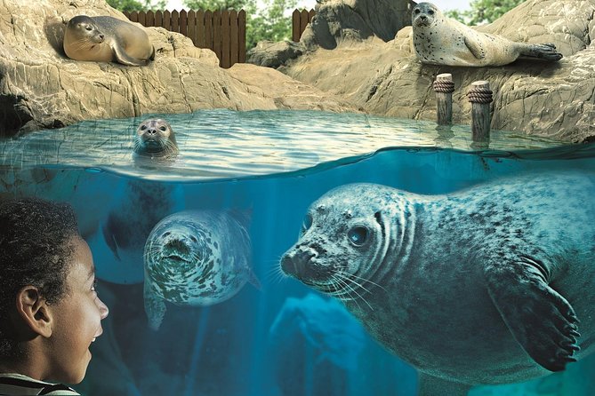 Hunstanton SEA LIFE Sanctuary General Admission Ticket - Is $21.92 good value?